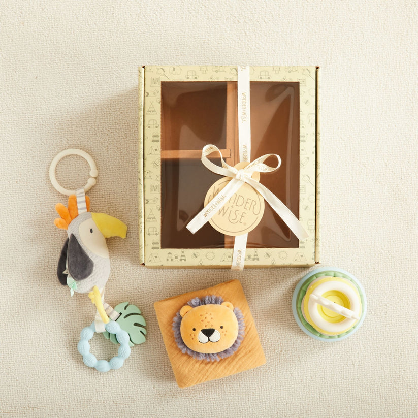 Wonder & Wise Hello Baby 3-6mo Gift Set