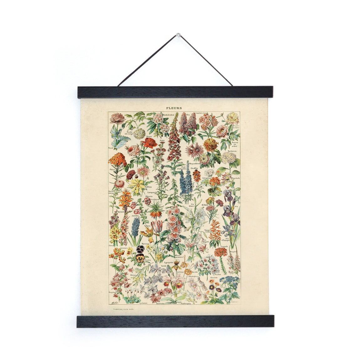 Vintage Botanical Fleurs Garden Flower Print