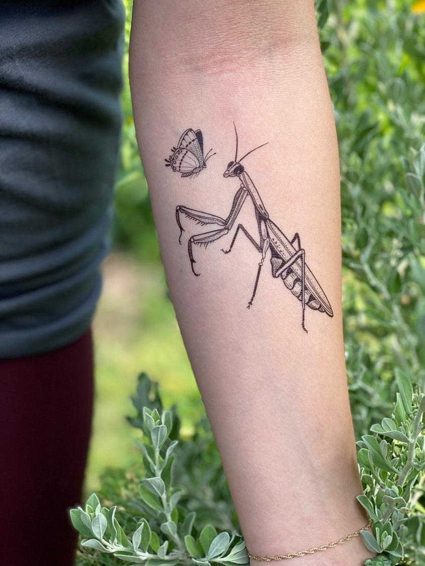 Praying Mantis Temporary Tattoo 2-Pack