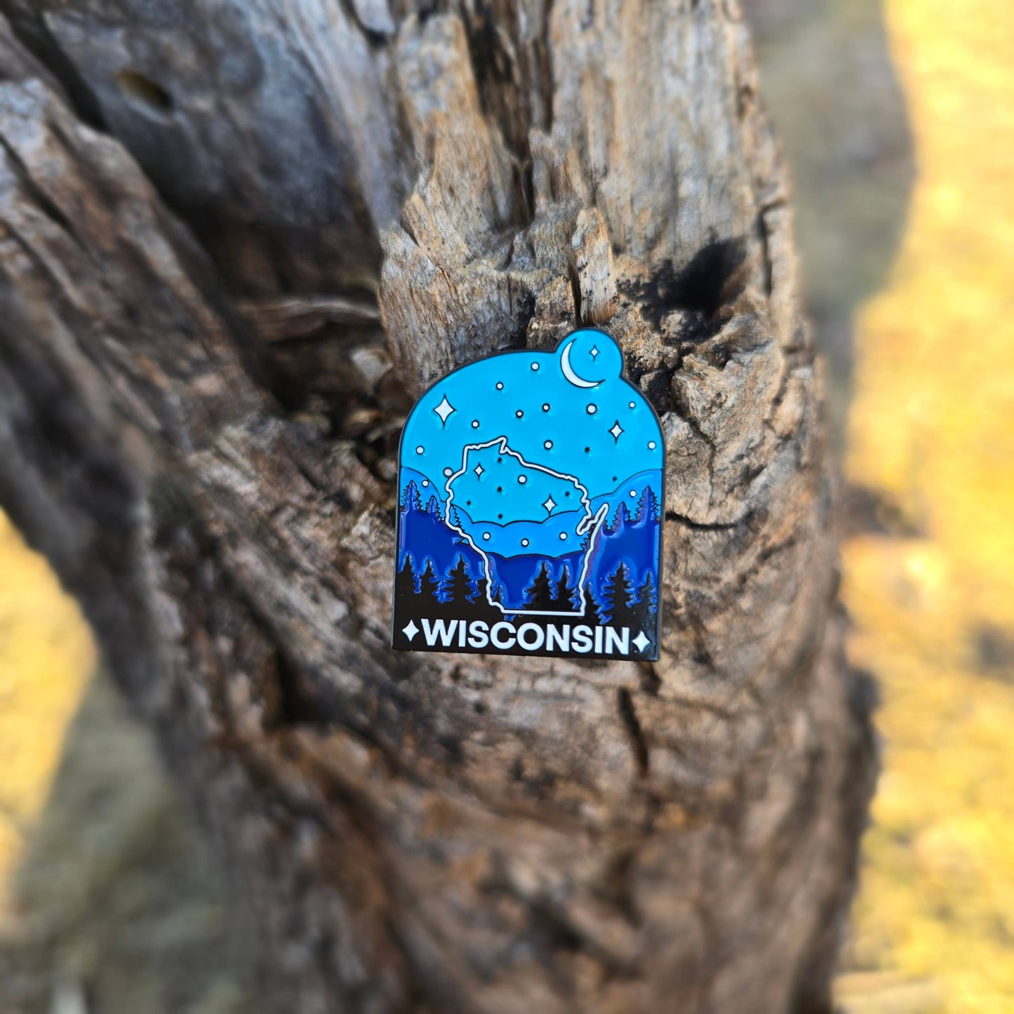 Wisconsin enamel pin