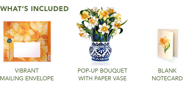 English Daffodils Pop-Up Greeting Card