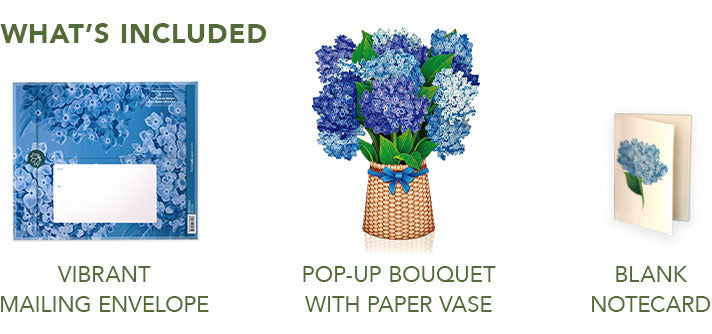 Nantucket Hydrangeas Pop-Up Greeting Card