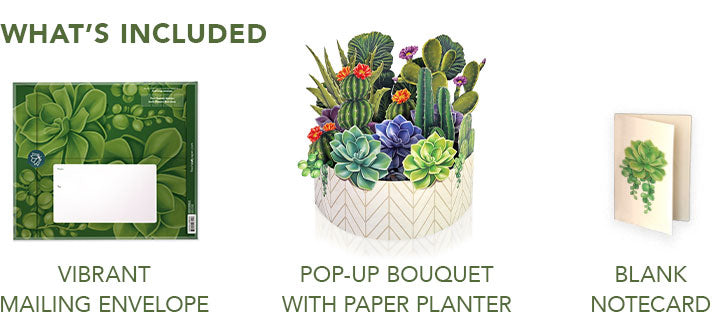 Cactus Garden Pop-Up Greeting Card