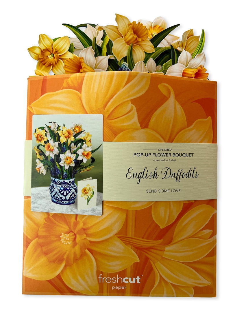 English Daffodils Pop-Up Greeting Card