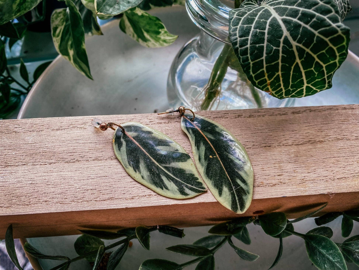 Variegated Rubber Plant Leaf Earrings