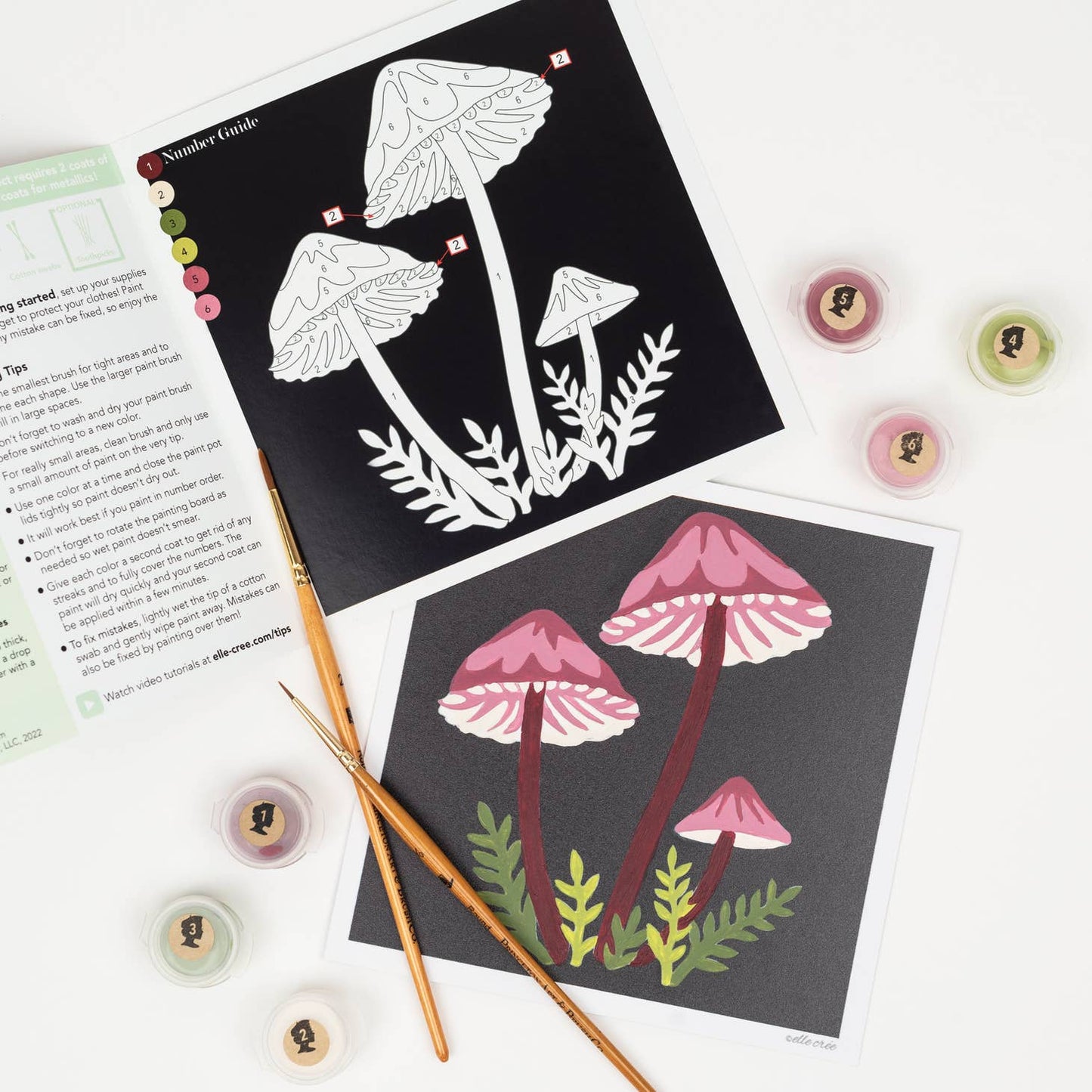 Bleeding Fairy Helmet Mushrooms MINI Paint-by-Number Kit
