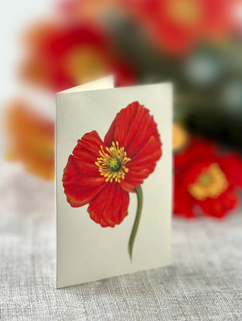 French Poppies Pop-Up Greeting Card