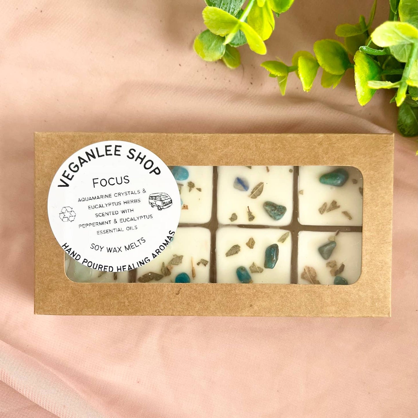 Focus Wax Melts