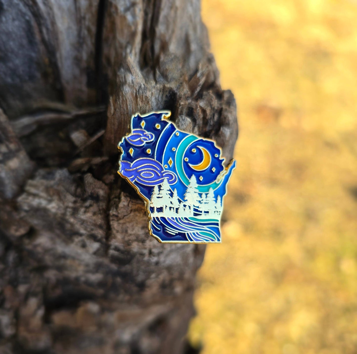 Wisconsin state pin