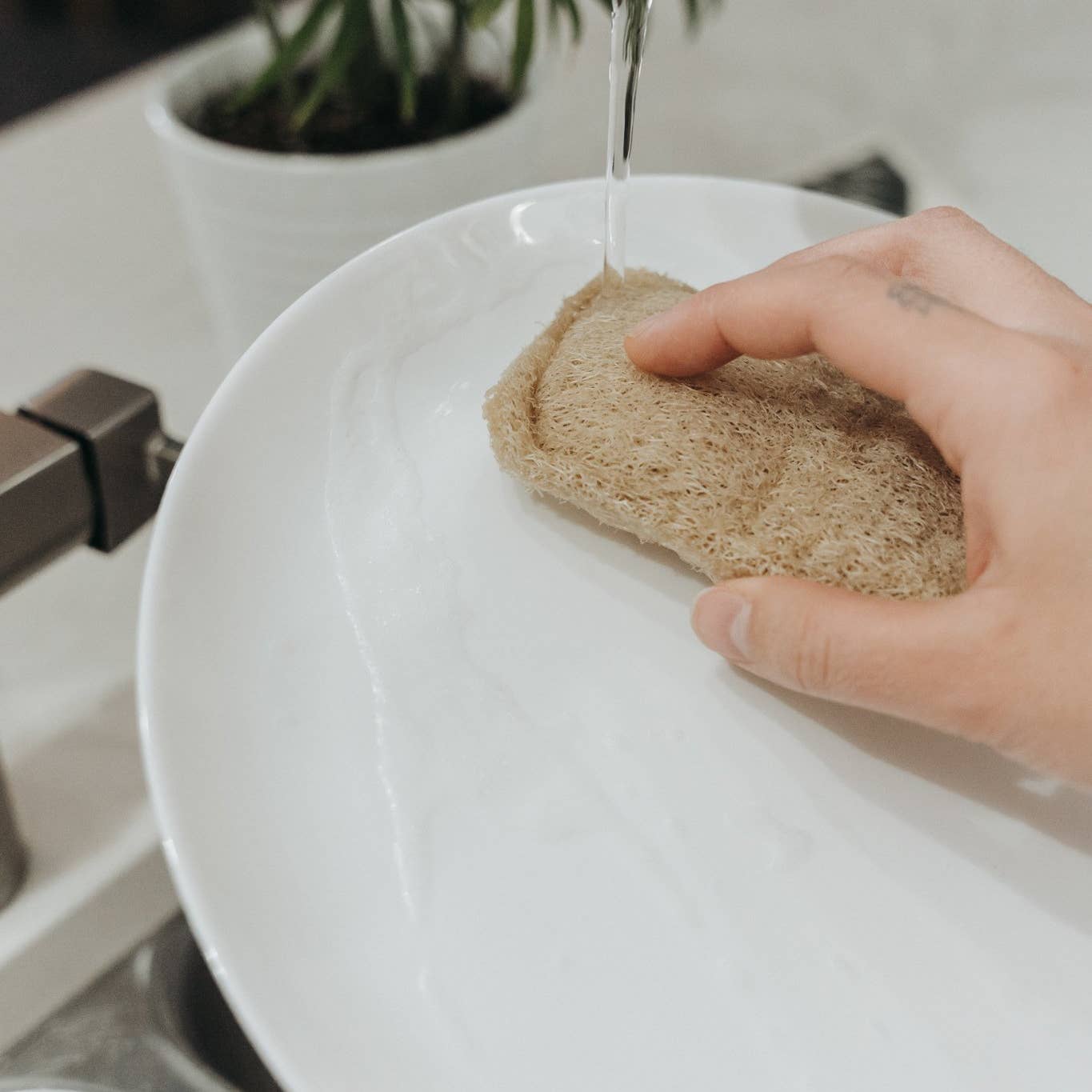Natural Loofah Dish Sponge 3pk