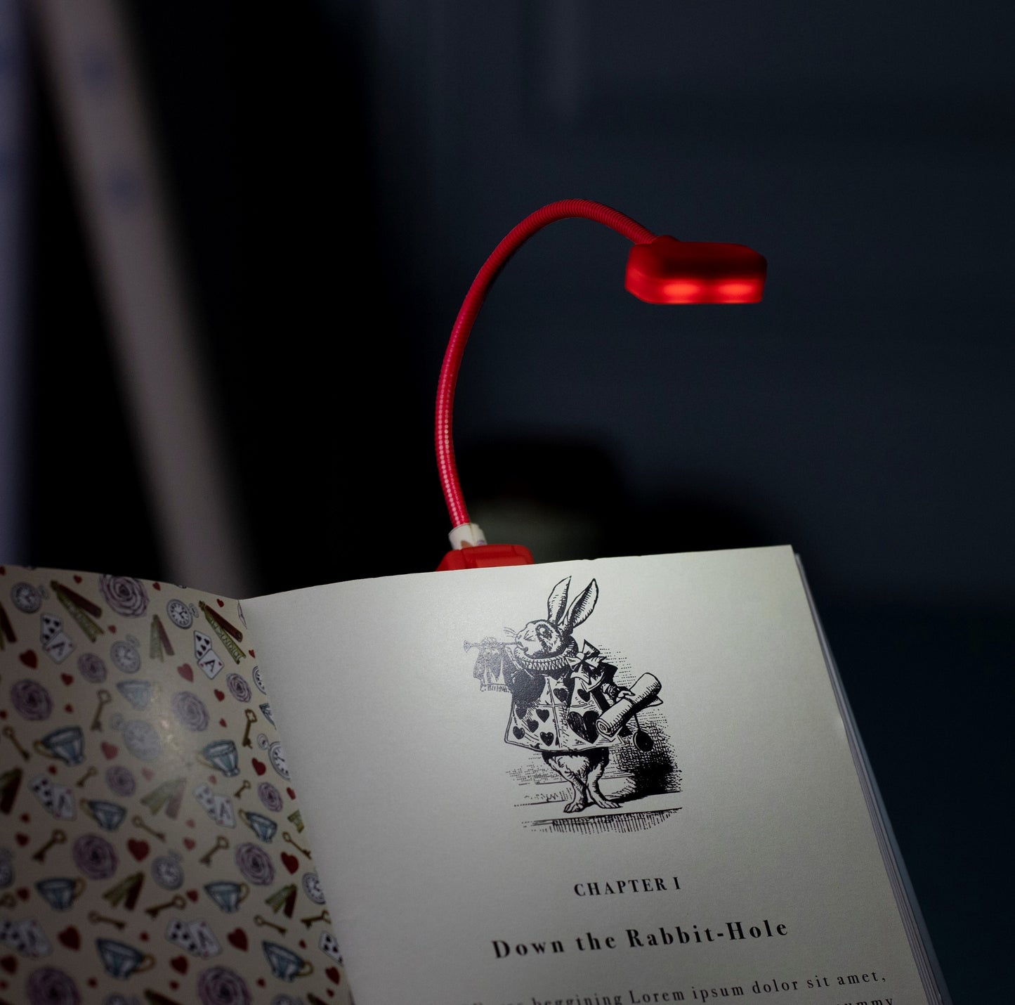 Book Lover's Reading Light - Alice