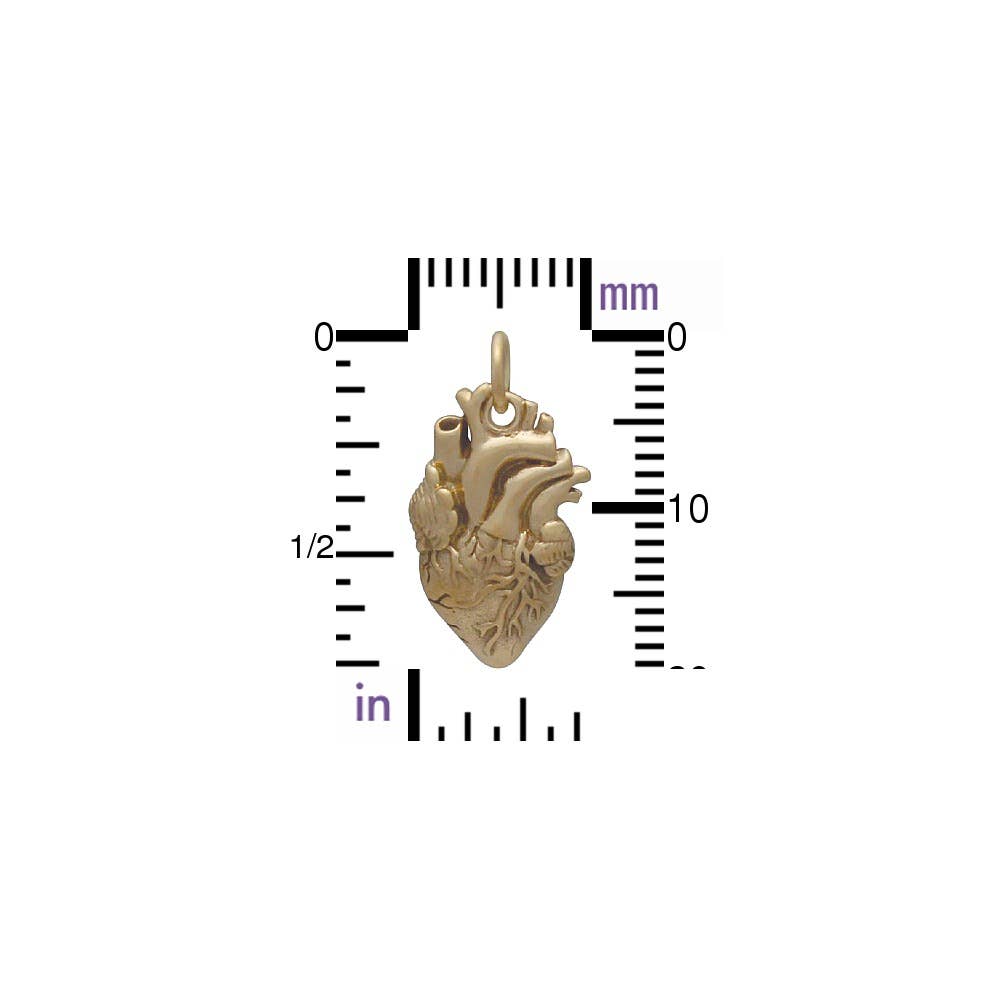 Anatomical Heart Charm 21x10mm