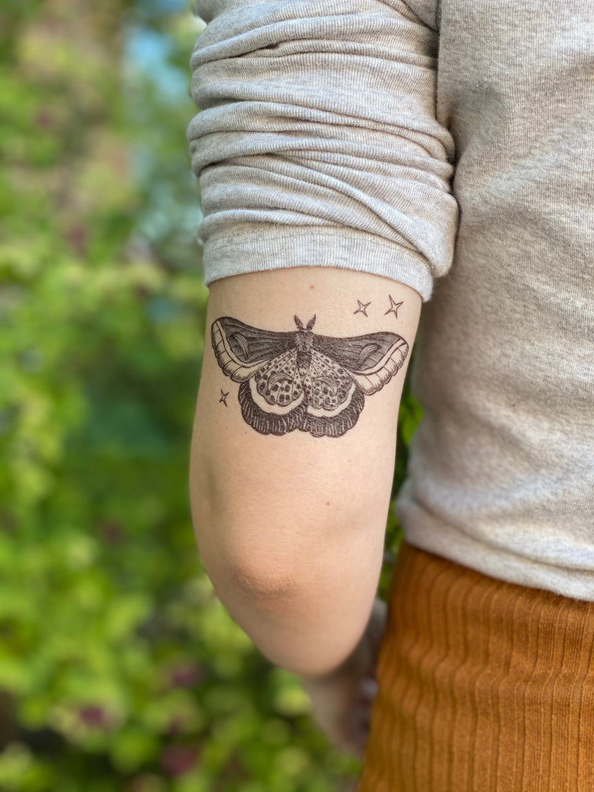 Night Moth Temporary Tattoo 2-Pack