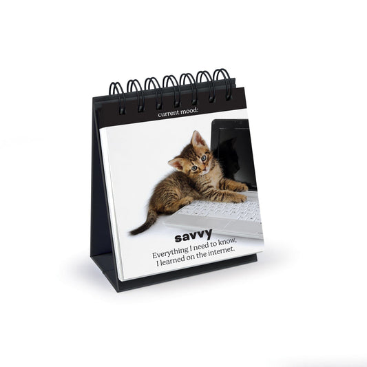 Daily Catitudes Desktop Flip Book