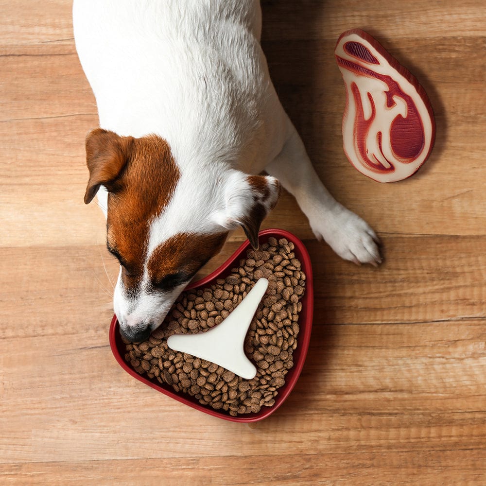 Slow Feeder Bowl