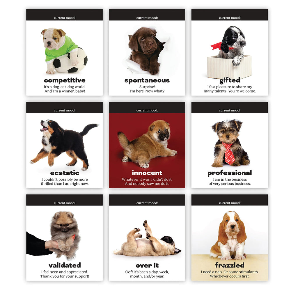 Doggo Daily Daily Doggo Desktop Flip Book β Swoon Gift Shop Milwaukee