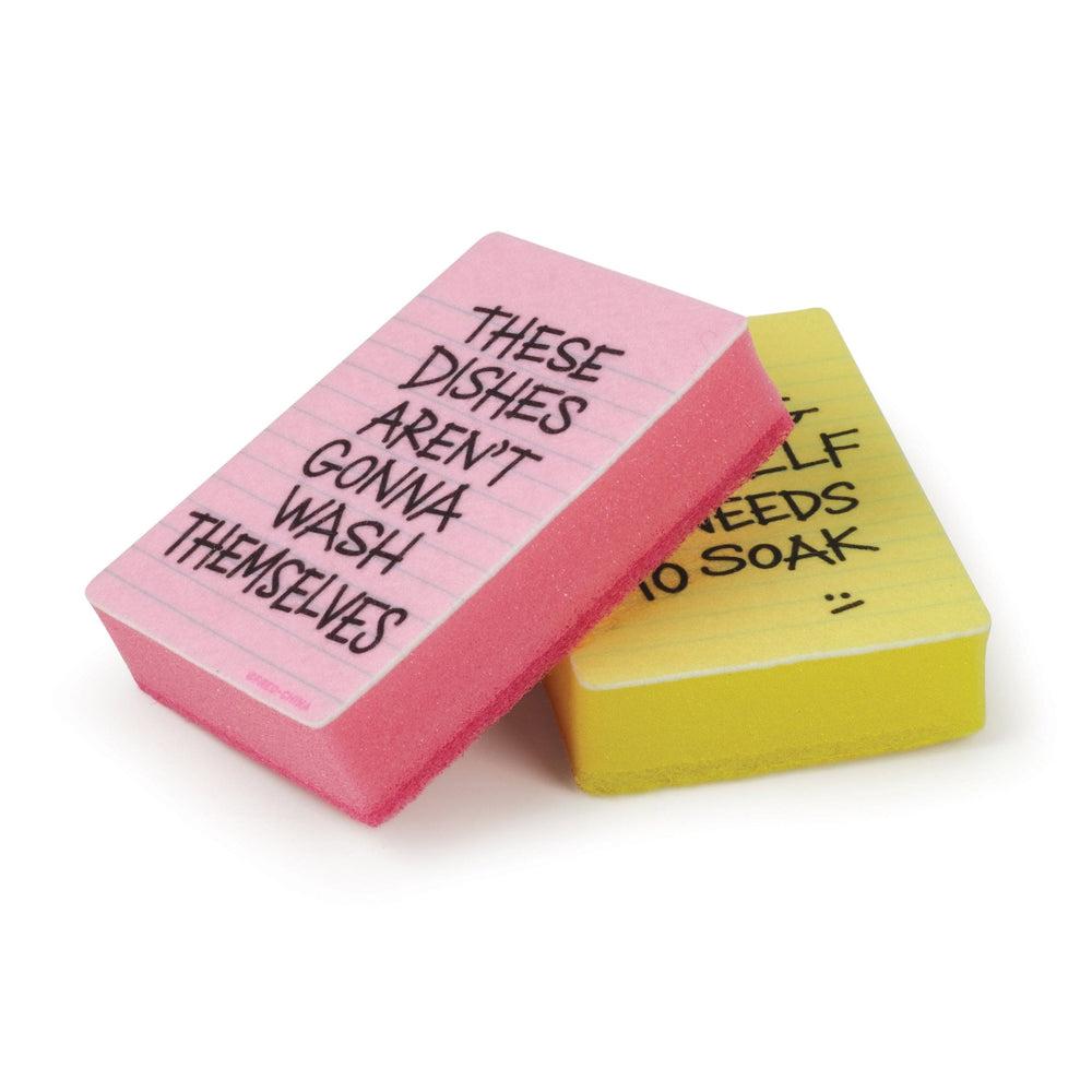 Clean Conscience Sponges