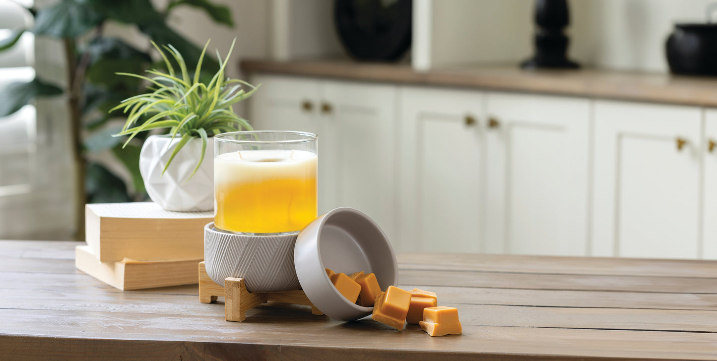 2-in-1 Wax Warmer
