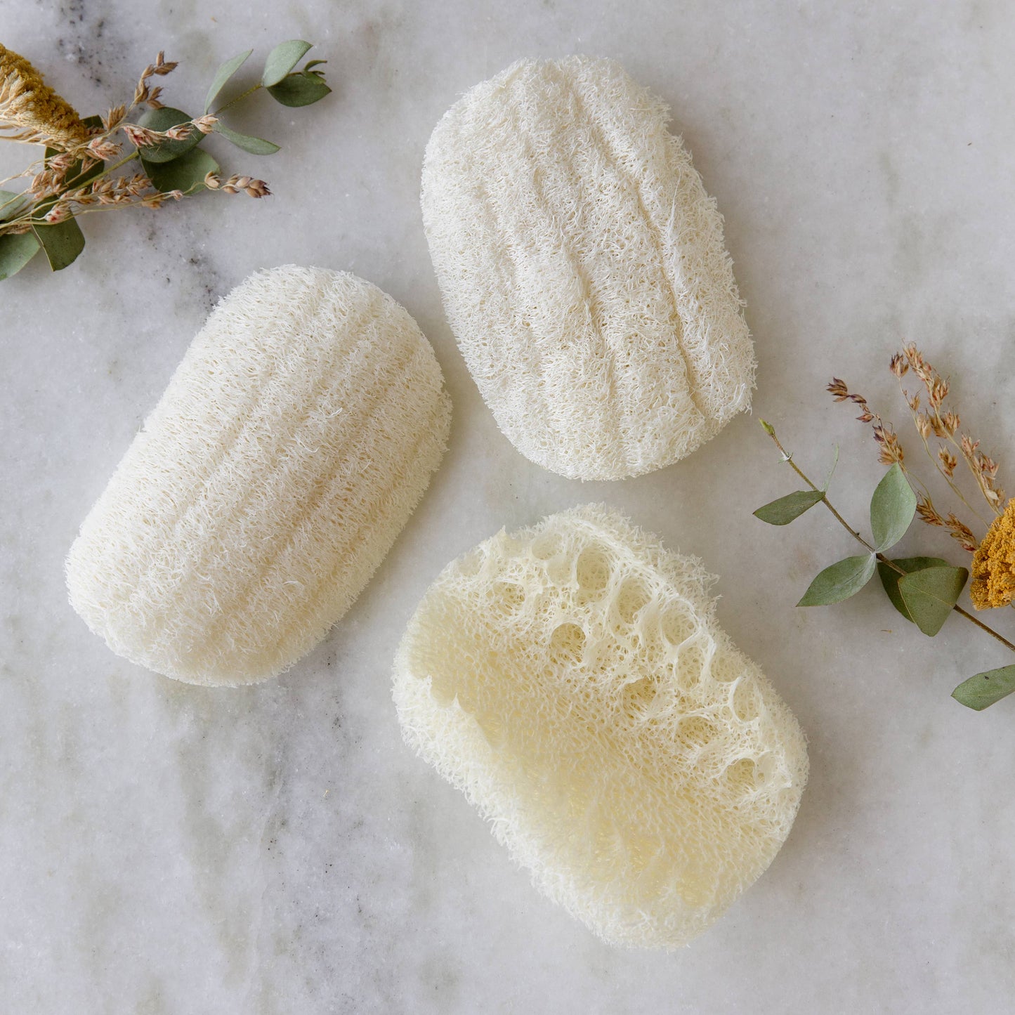 Compostable Dish Sponge 3-Pack | Eco Friendly, Zero Waste