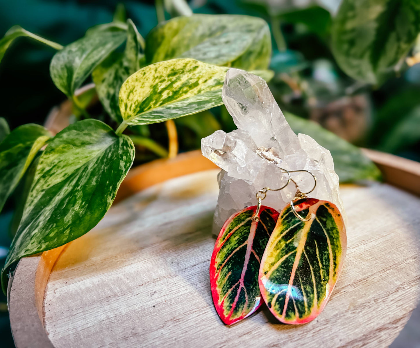 Aglaonema Earrings