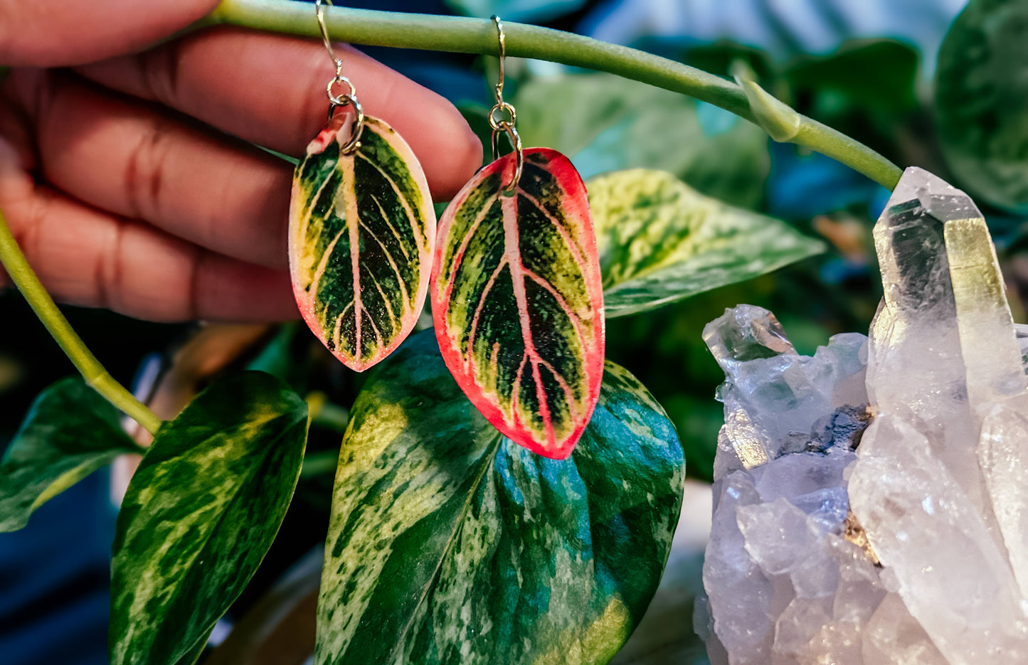 Aglaonema Earrings