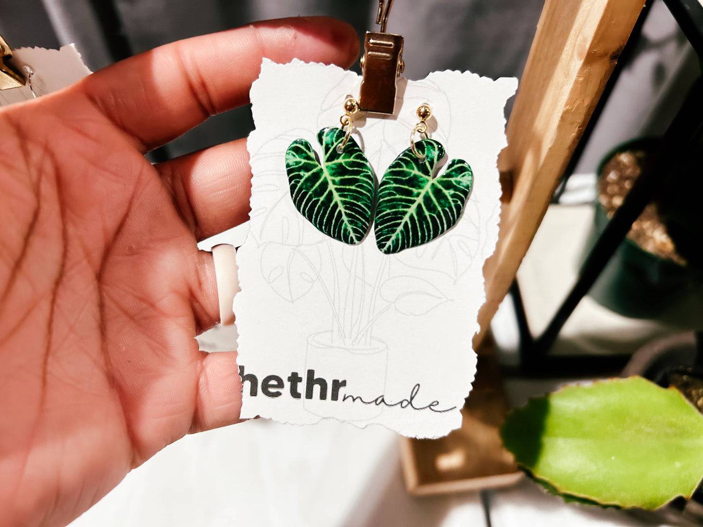 Anthurium Regale Plant Leaf Studs