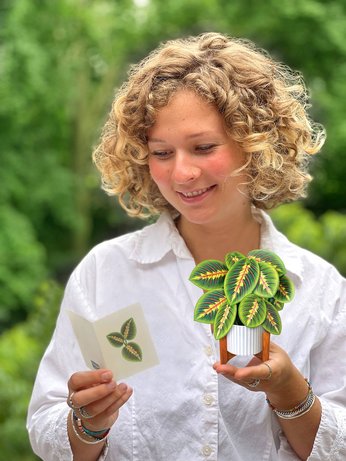 Mini Prayer Plant Pop-up Greeting Card