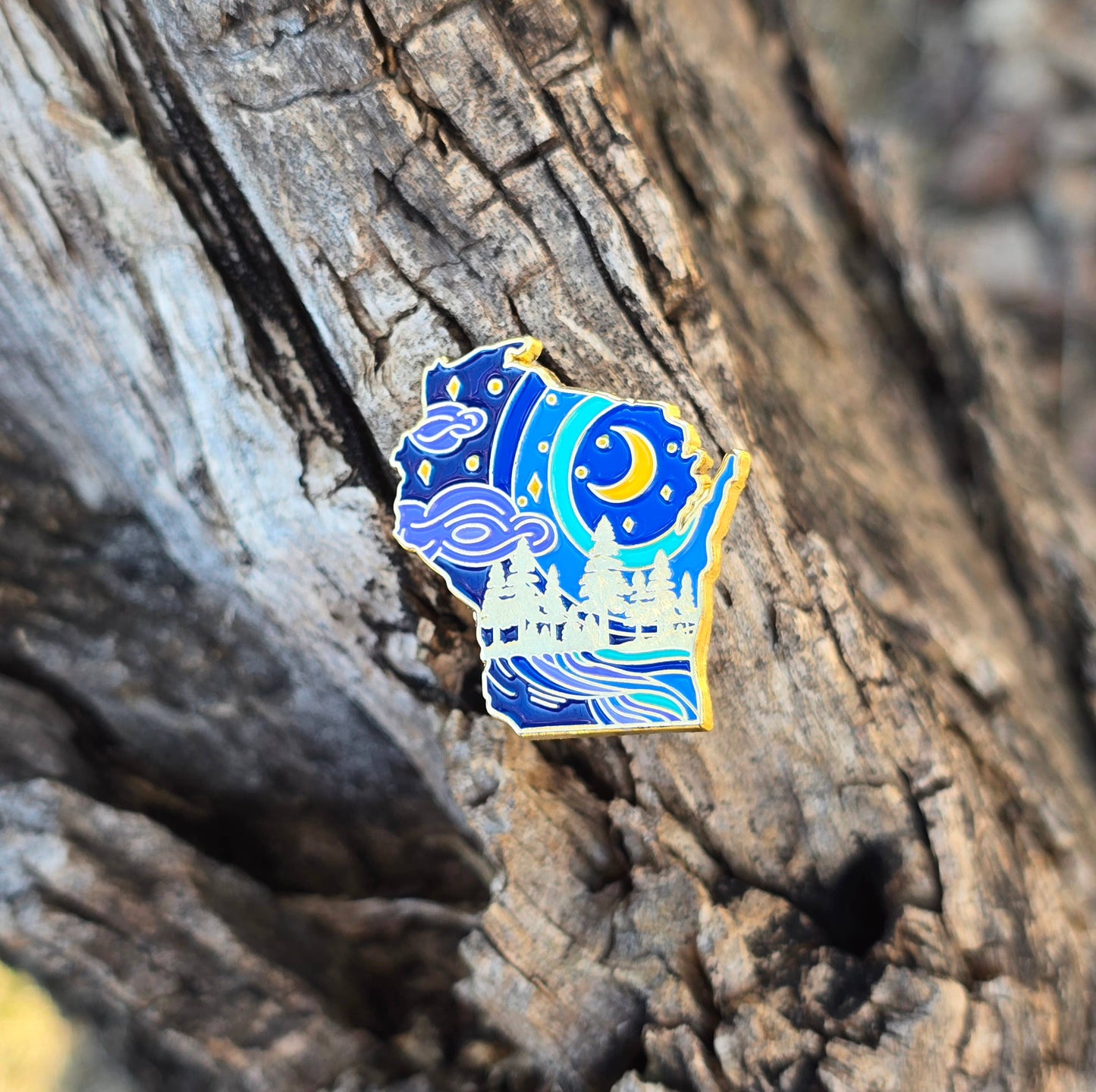 Wisconsin state pin