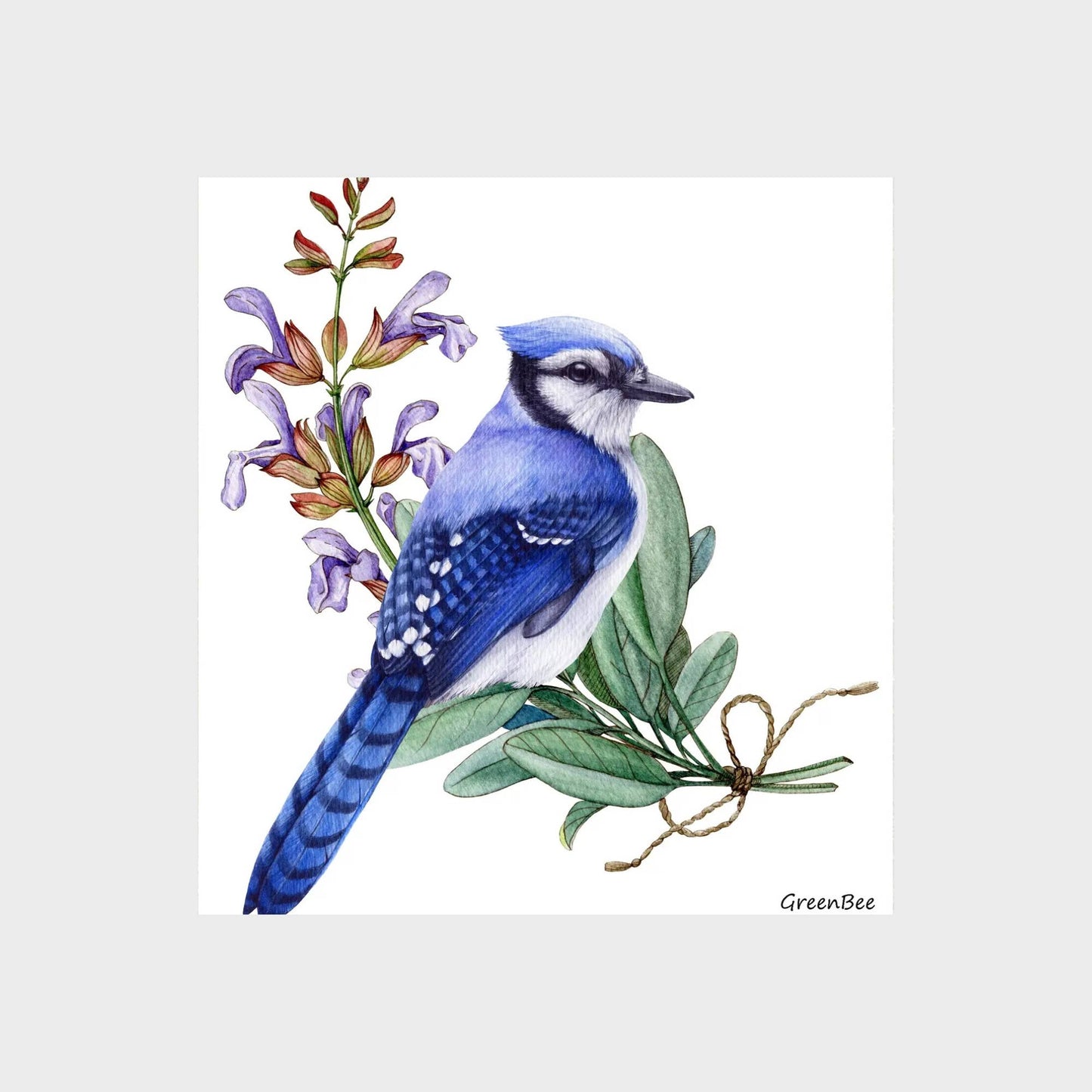 Blue Jay Swedish Dishcloth