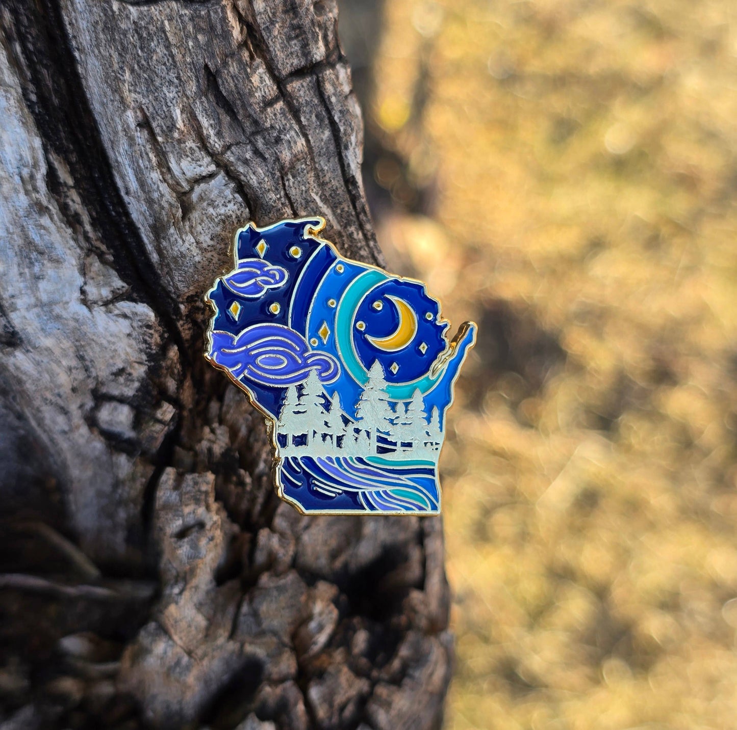 Wisconsin state pin