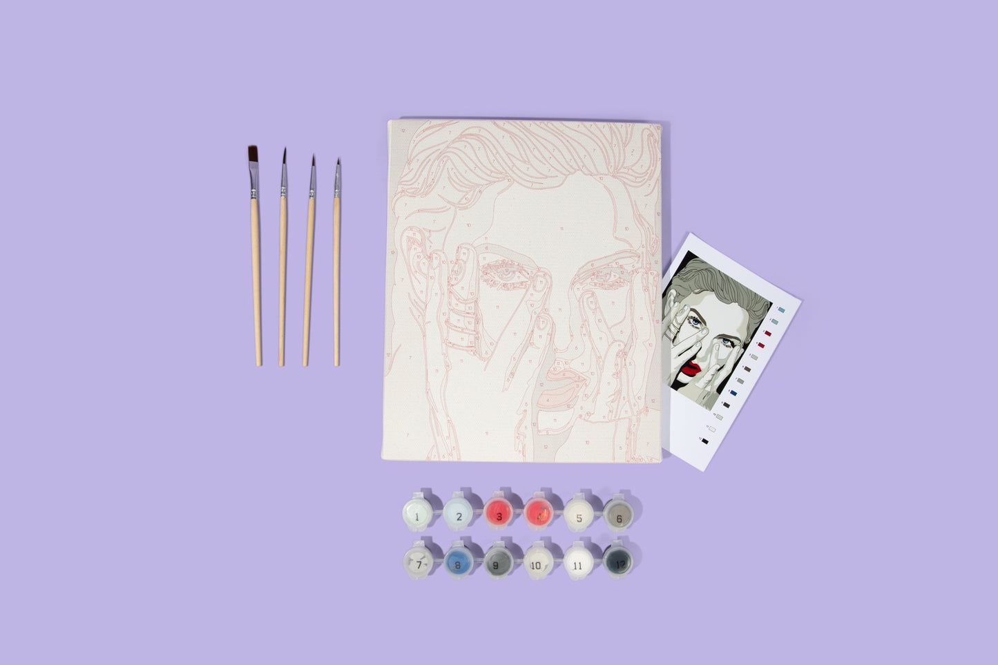 Taylor Swift, Reputation, Paint By Numbers Kit