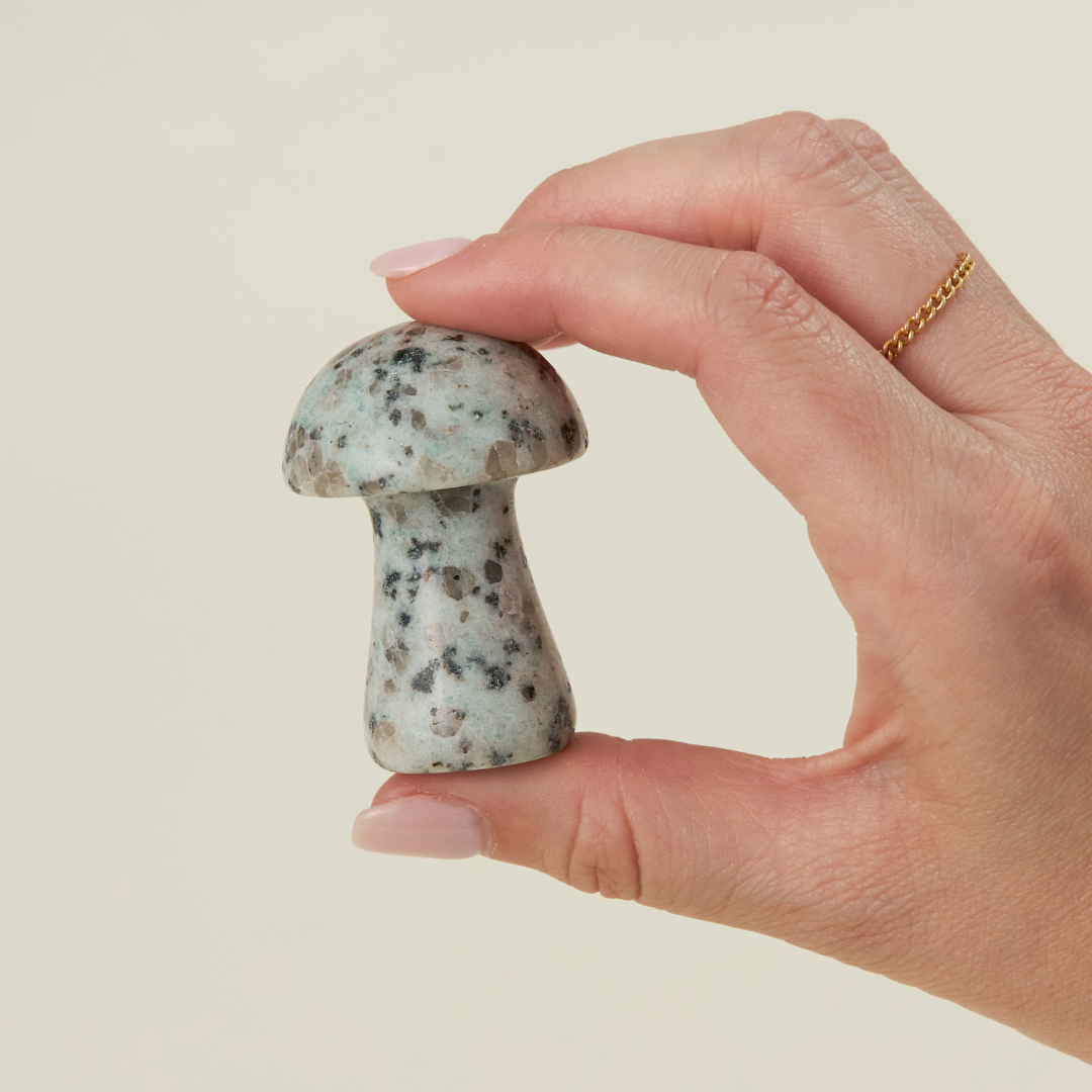 Large Carved Crystal Mushroom Assortment 🍄