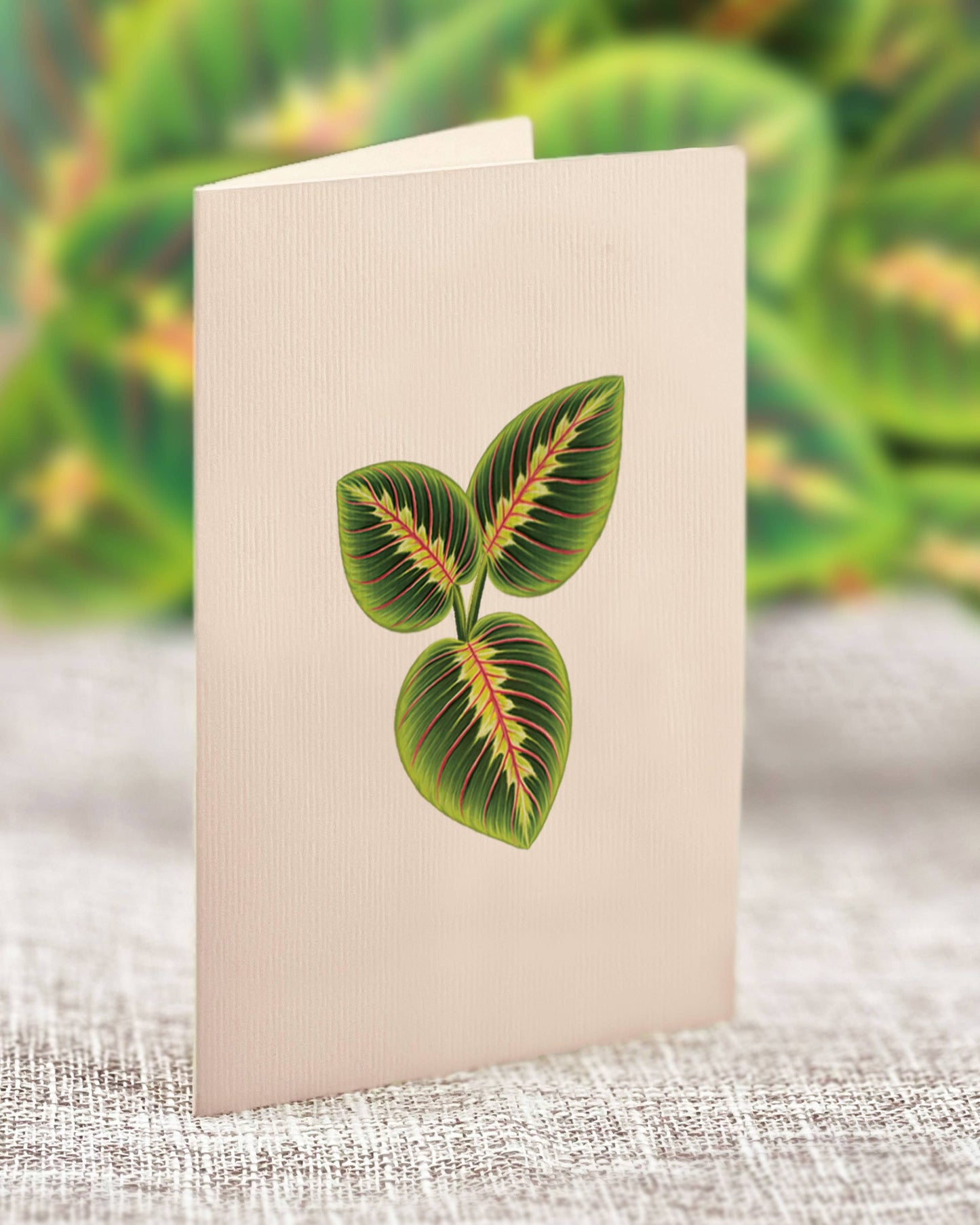 Mini Prayer Plant Pop-up Greeting Card