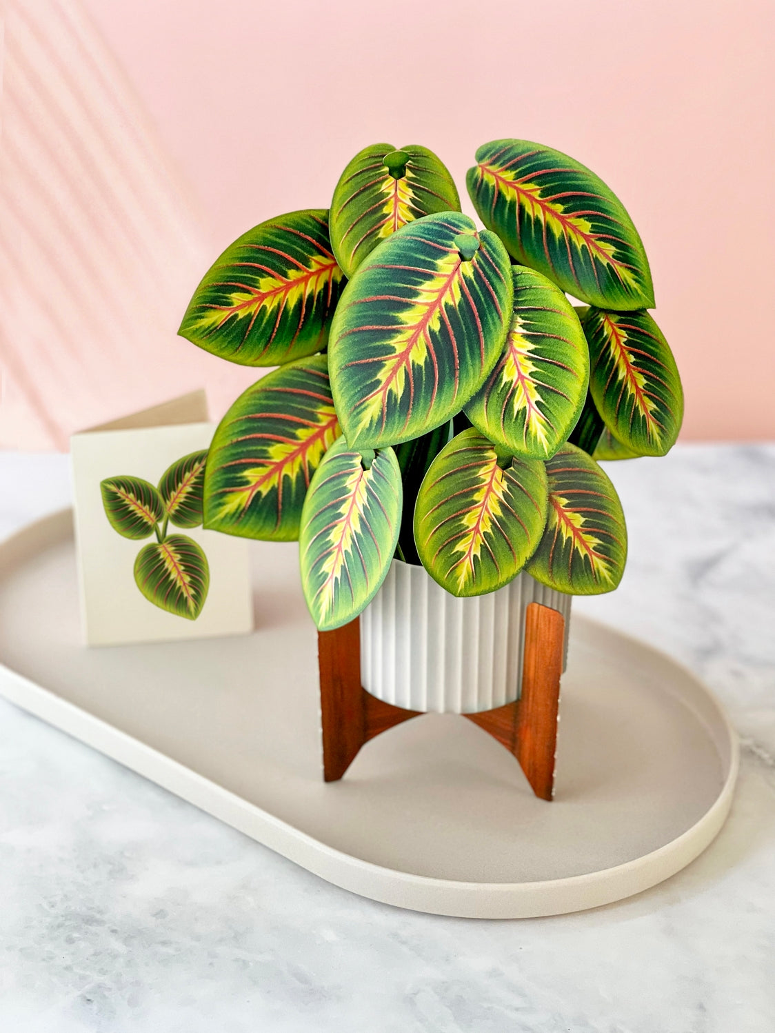 Prayer Plant Pop-Up Greeting Card