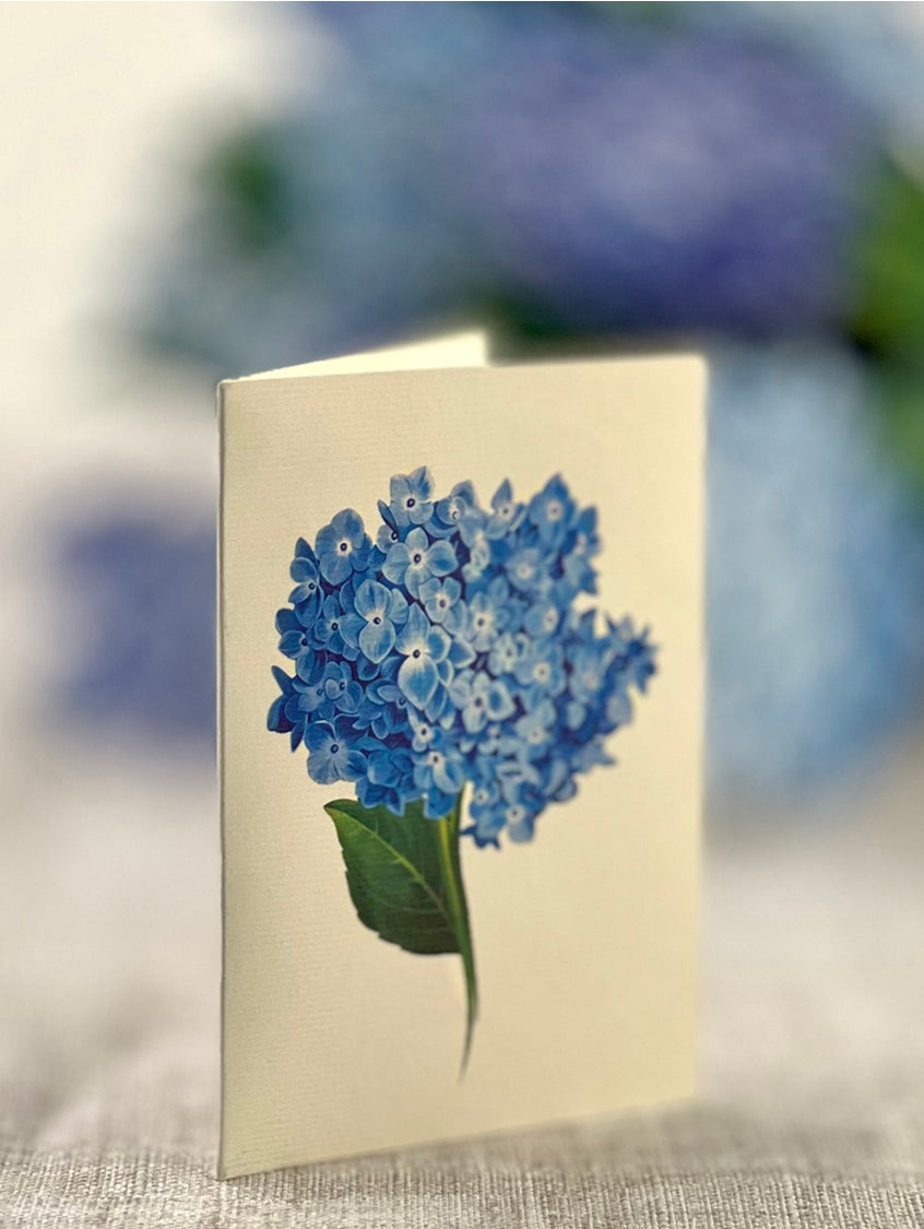 Nantucket Hydrangeas Pop-Up Greeting Card