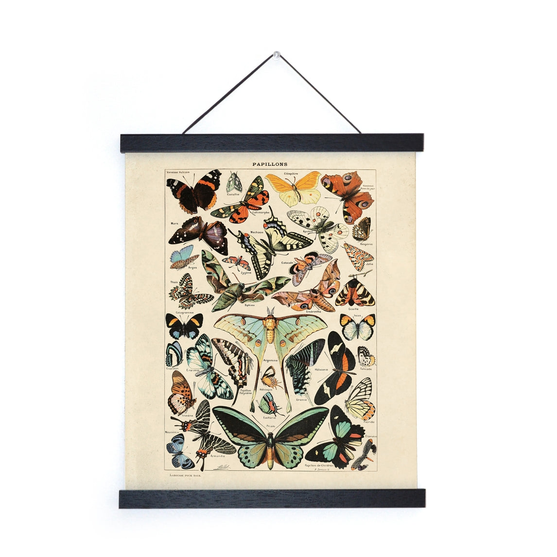 Vintage Millot Butterfly Print