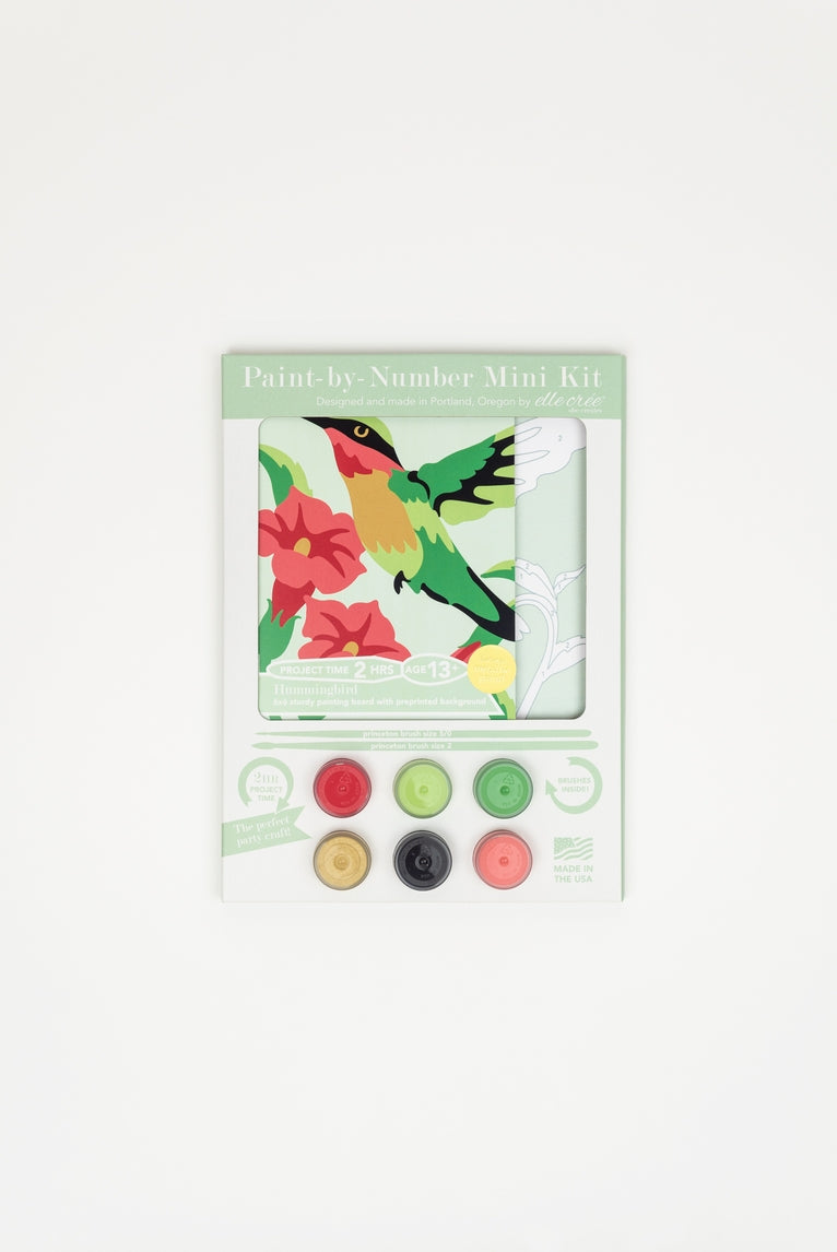 Hummingbird MINI Paint-by-Number Kit