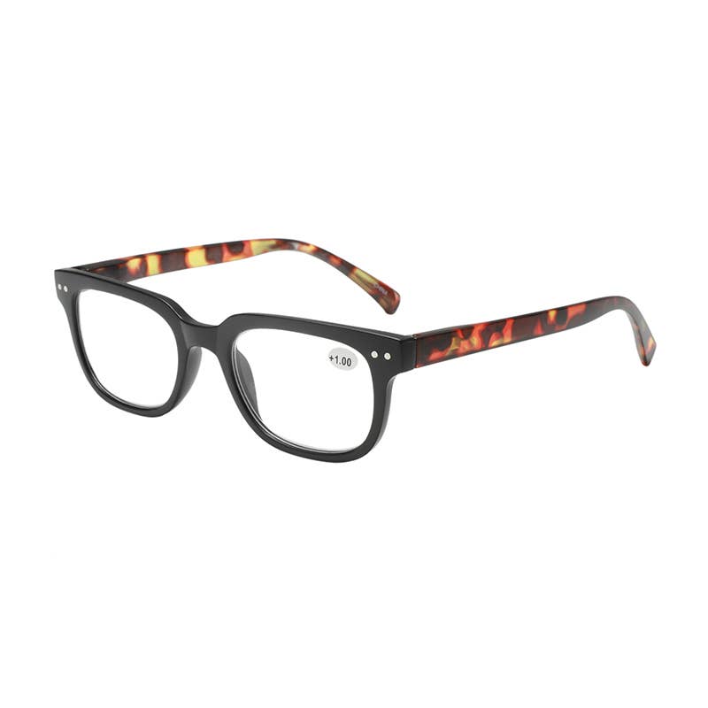 FR3187, Dual Color Simple Style Frame Reading Glasses/Reader