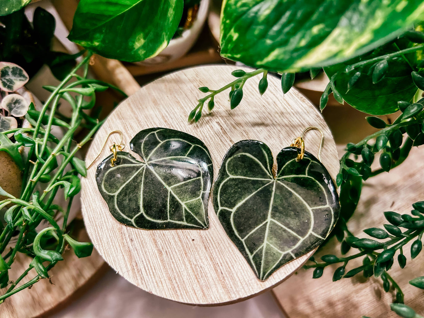 Anthurium Clarinervium Plant Earrings