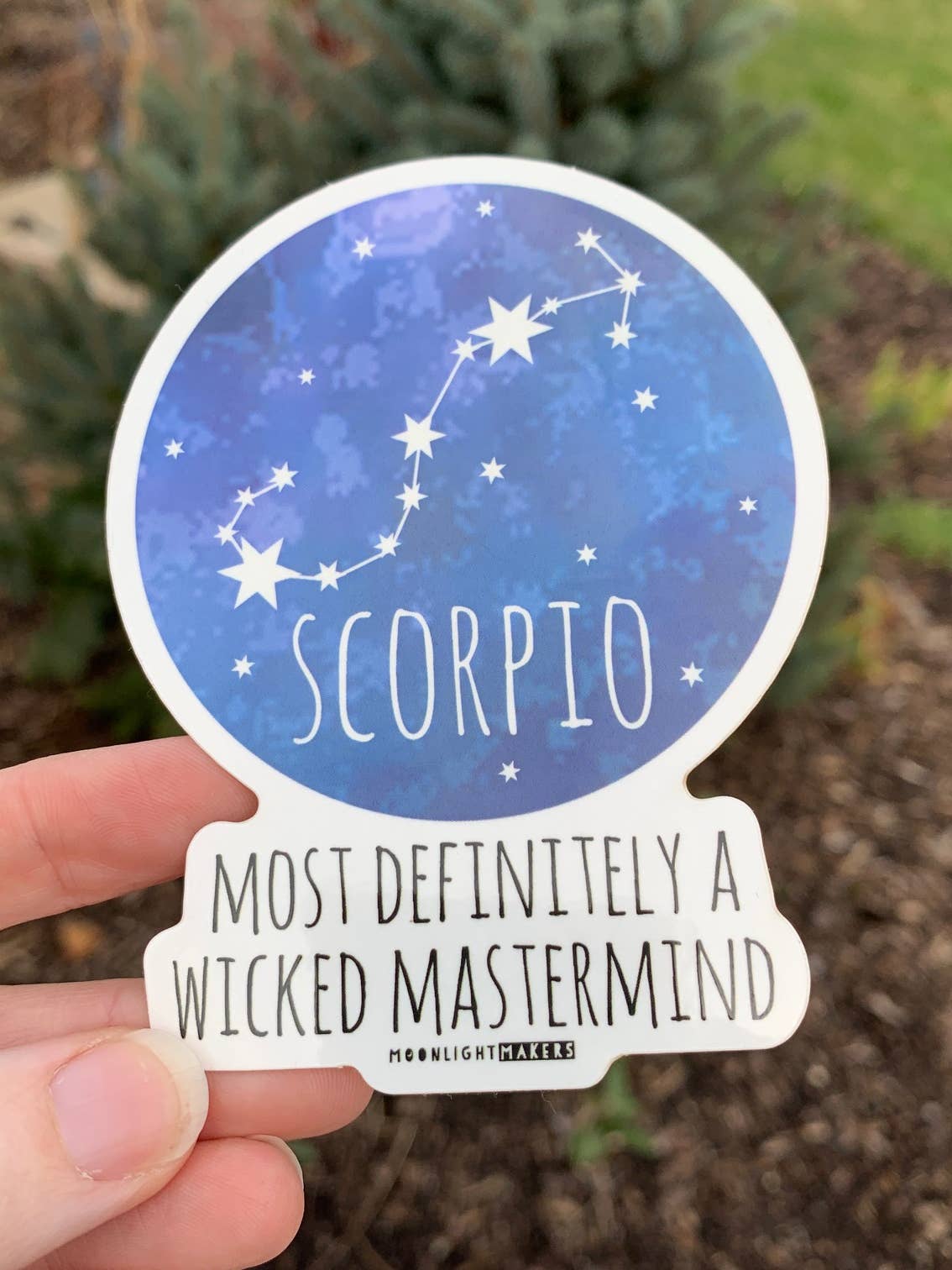 Zodiac Stickers By Moonlight Makers