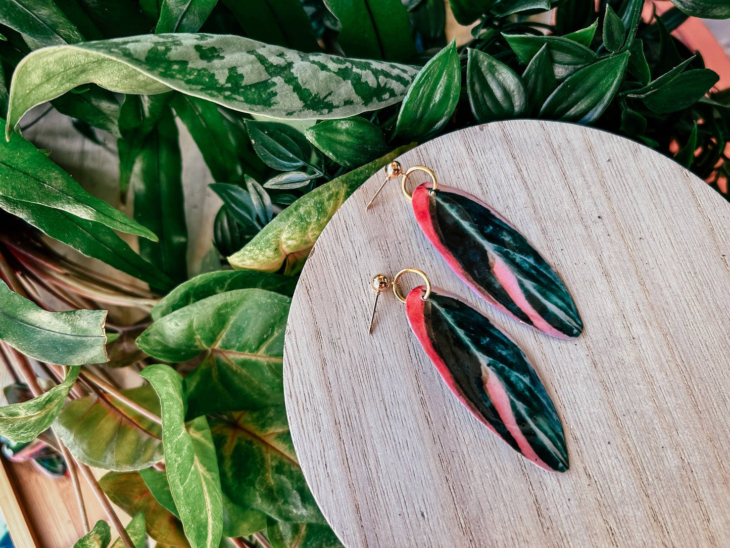 Stromanthe Plant Leaf Earrings