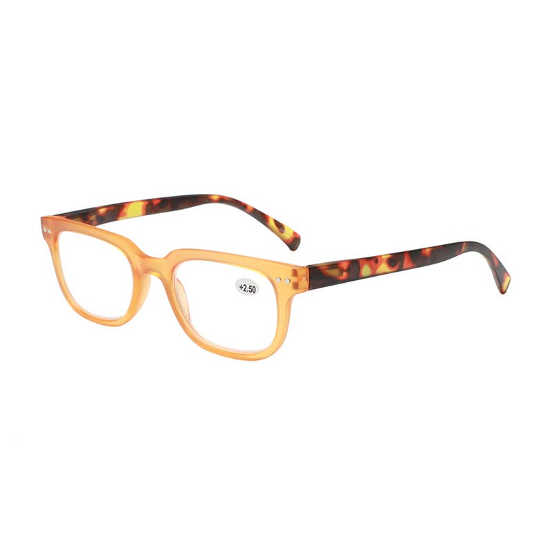 FR3187, Dual Color Simple Style Frame Reading Glasses/Reader