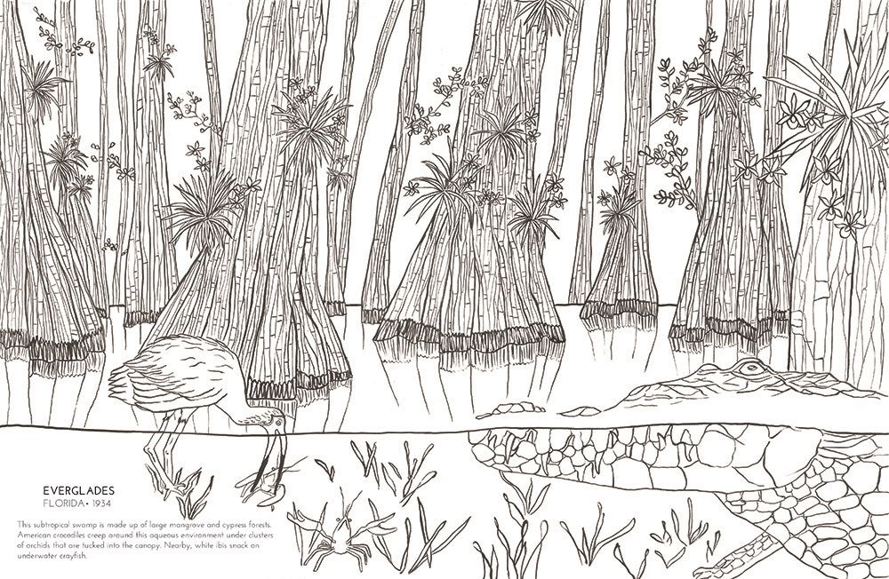 The National Parks Coloring Book