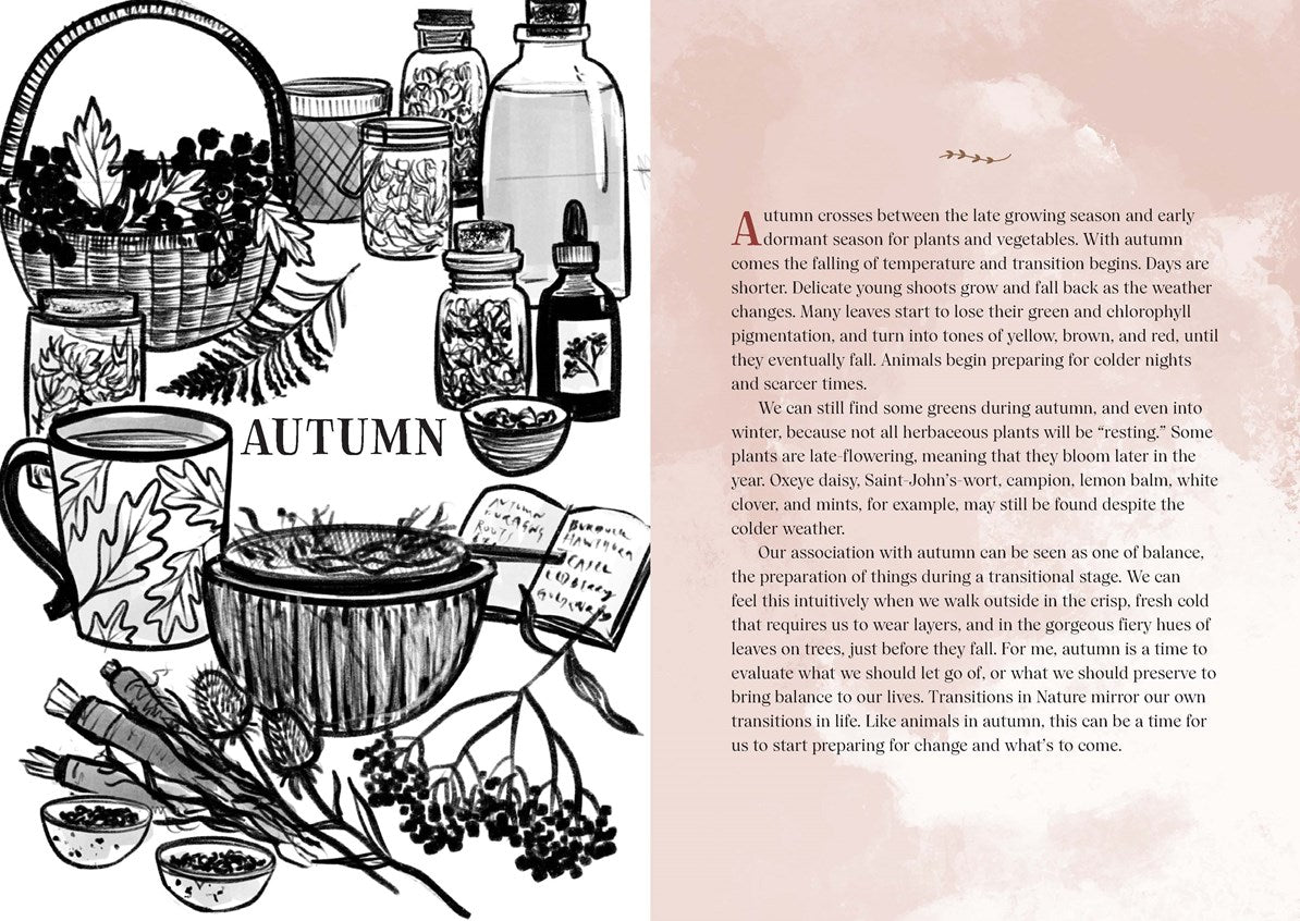 Enchanted Foraging:  Wildcrafting for Herbal Remedies, Rituals, and a Magical Life