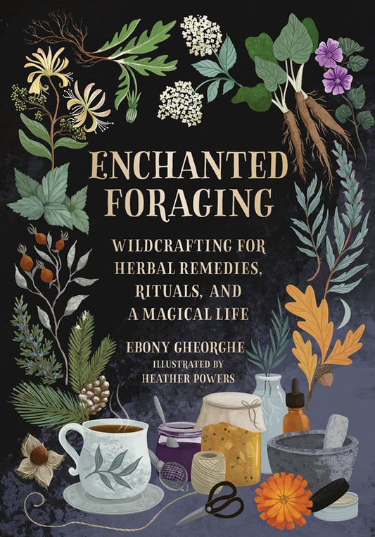 Enchanted Foraging:  Wildcrafting for Herbal Remedies, Rituals, and a Magical Life