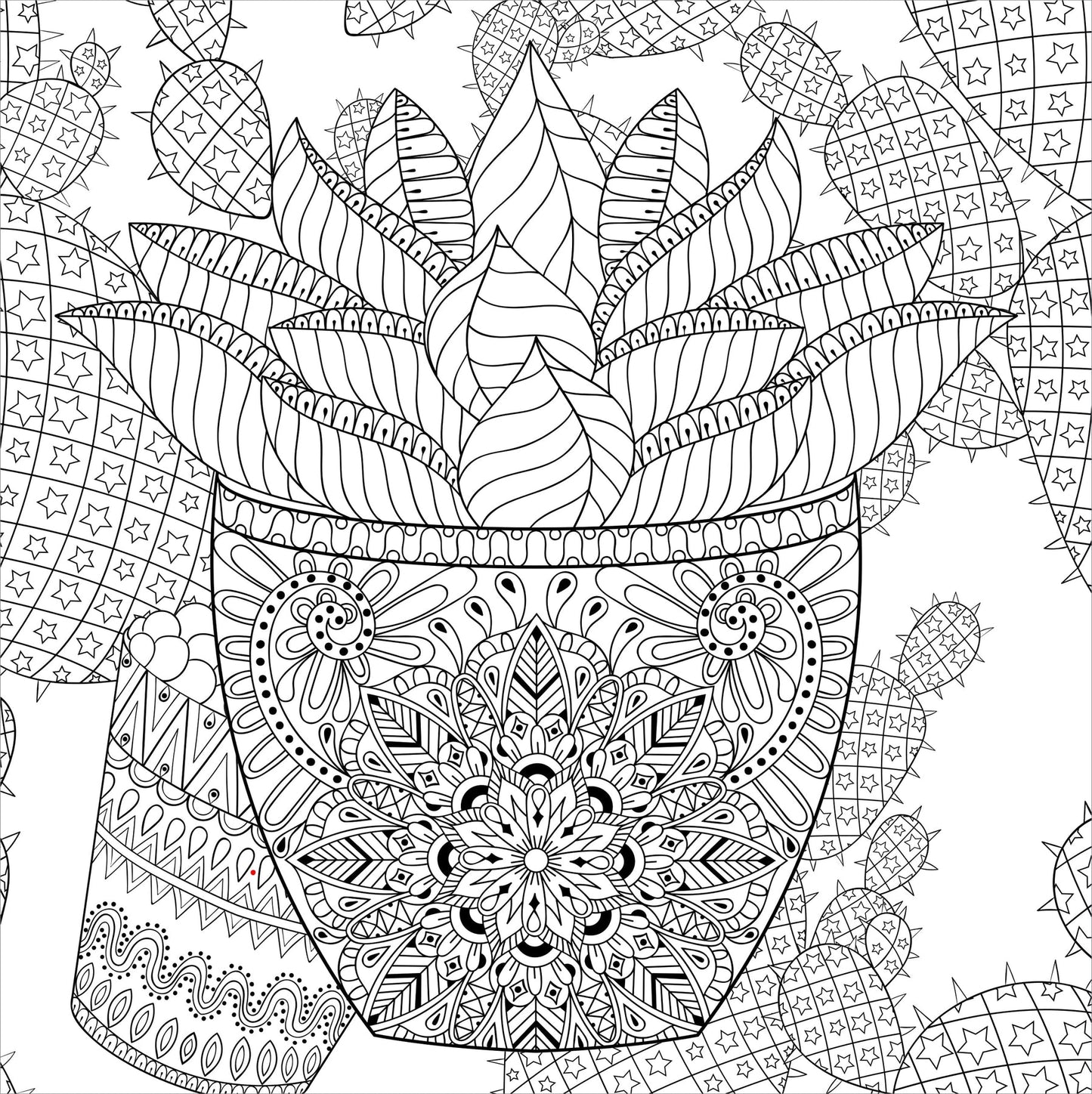 Succulents Artist's Coloring Book