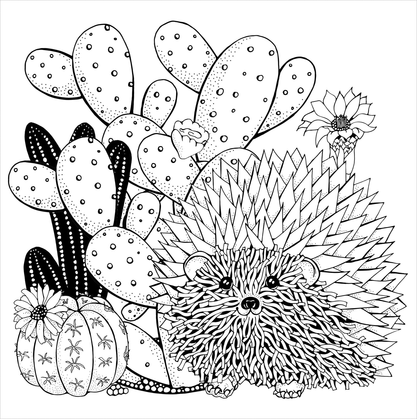 Succulents Artist's Coloring Book