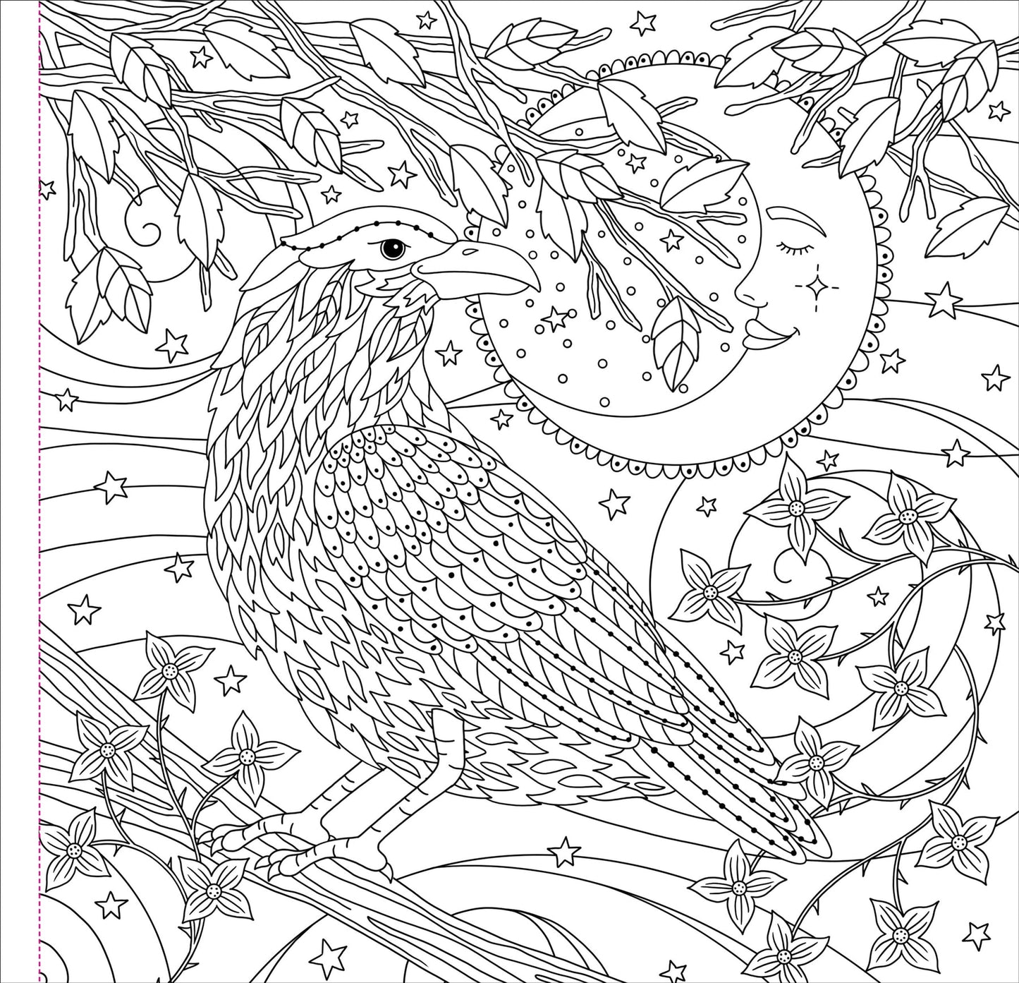 Witchcraft & Wonder Artist's Coloring Book