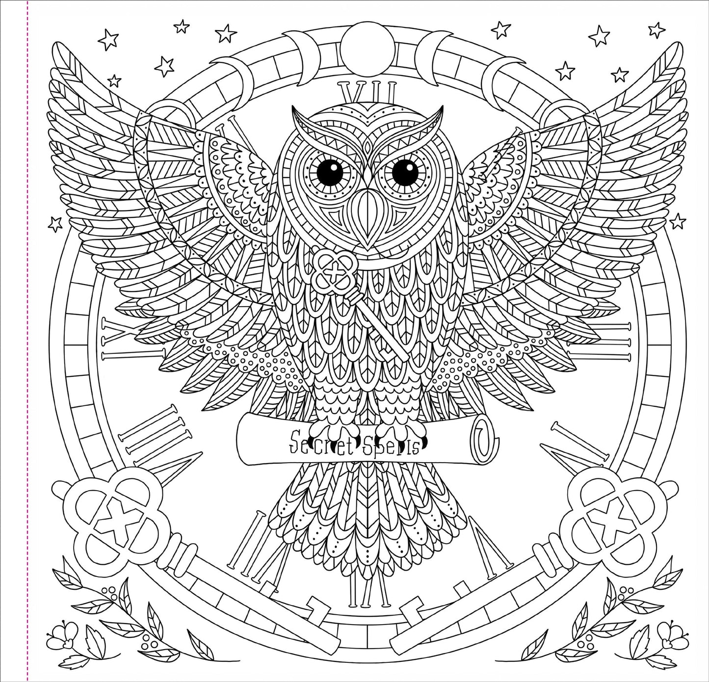 Witchcraft & Wonder Artist's Coloring Book