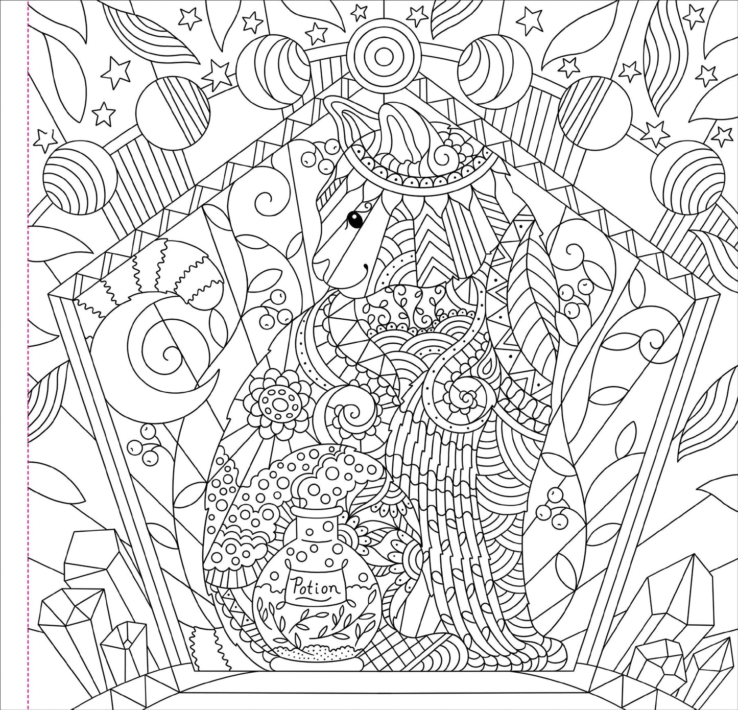 Witchcraft & Wonder Artist's Coloring Book